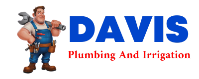 Trusted plumber in DAVIS